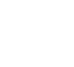 MZ Consultants Logo